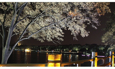 LED顯示屏P6像素點數(shù)點間距密度是多少產(chǎn)品優(yōu)點：